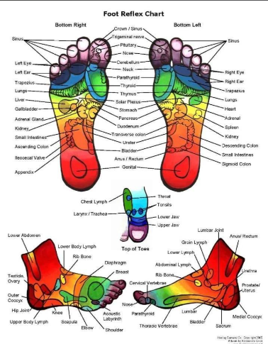 Detailed explanation of foot massage and disease adjustment