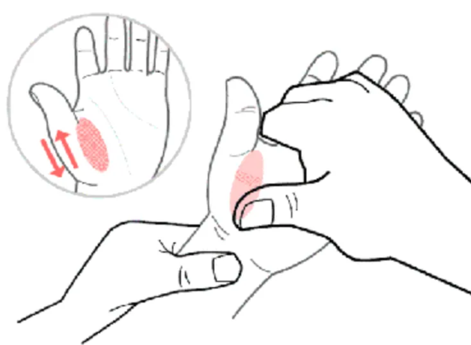 Learn the “trilogy” of pediatric massage~