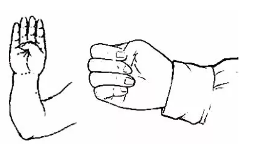 Daily health exercise, the secret to longevity